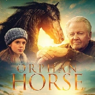 Orphan Horse
